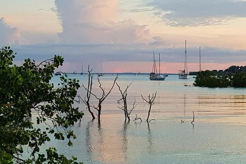 Tropical Light Sundowner Cruise With Drinks Included - Accommodation Sunshine Coast 2