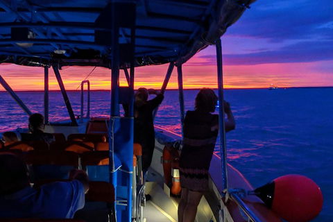 Tropical Light Sundowner Cruise With Drinks Included - Accommodation Sunshine Coast 5
