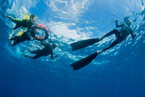 Passions Of Paradise Great Barrier Reef Snorkel And Dive Cruise From Cairns By Luxury Catamaran - Accommodation Sunshine Coast 2