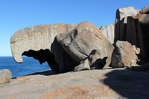 Kangaroo Island Personal Group Tours - Accommodation Sunshine Coast 2