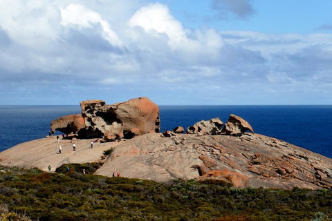 Kangaroo Island Personal Group Tours - Accommodation Sunshine Coast 5