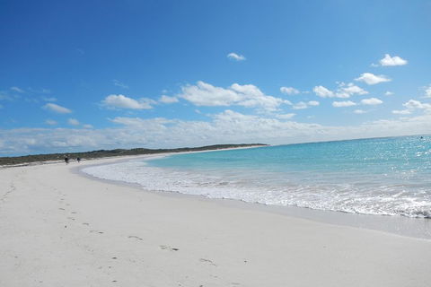 Shipwreck Special Nature Tour/Half Day Tour - Accommodation Sunshine Coast 0
