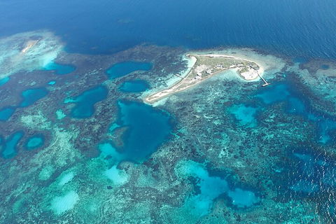 Shipwreck Special Nature Tour/Half Day Tour - Accommodation Sunshine Coast 5