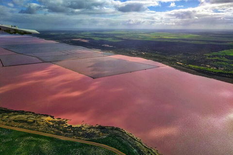 Kalbarri, Pink Lake And Abrolhos Islands Nature Tour - Accommodation Sunshine Coast 1