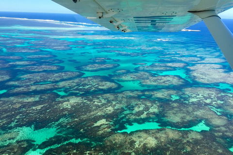 Kalbarri, Pink Lake And Abrolhos Islands Nature Tour - Accommodation Sunshine Coast 5