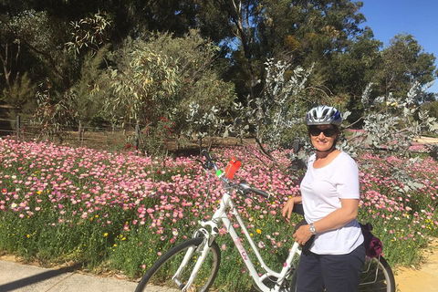 Perth Bike Tour - Beautiful Matilda Bay And Kings Park - Accommodation Sunshine Coast 1