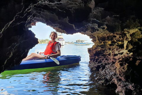 Cliffs And Caves Kayak Tour In Swan River - Accommodation Sunshine Coast 1