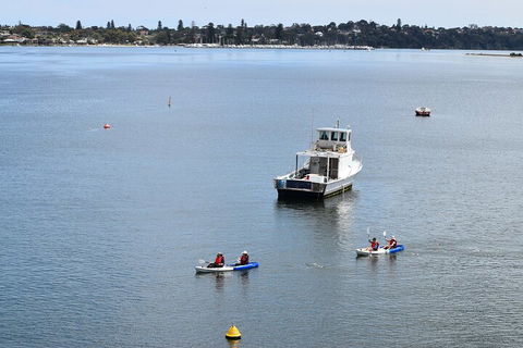Cliffs And Caves Kayak Tour In Swan River - Accommodation Sunshine Coast 2
