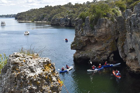 Cliffs And Caves Kayak Tour In Swan River - Accommodation Sunshine Coast 5