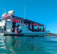 Best of Moreton Bay Cruise
