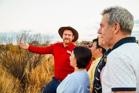 Uluru (Ayers Rock) Sunset With Outback Barbecue Dinner And Star Tour - Accommodation Sunshine Coast 3