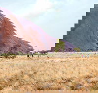 Uluru Sunrise and Guided Base Walk - Accommodation Sunshine Coast