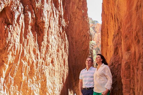 Best Of Alice Springs Full Day Tour - Accommodation Sunshine Coast 4