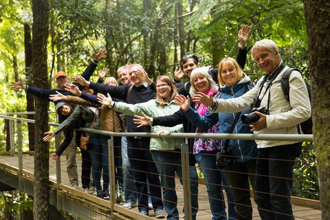 All Inclusive Blue Mountains Small-Group Day Trip From Sydney - Accommodation Sunshine Coast 5
