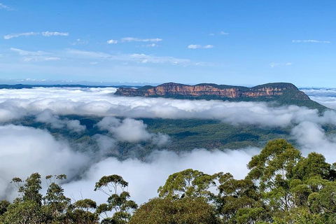 Small-Group Blue Mountains Tour With A Local Guide - Accommodation Sunshine Coast 4