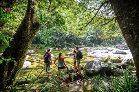 Private Daintree Mossman Gorge Exclusive Nature And Wildlife Focus - Accommodation Sunshine Coast 5