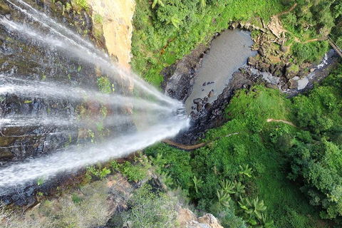 Natural Bridge & Springbrook Waterfalls Tour + Hot Air Balloon With Breakfast - Accommodation Sunshine Coast 1
