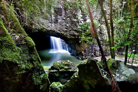 Natural Bridge & Springbrook Waterfalls Tour + Hot Air Balloon With Breakfast - Accommodation Sunshine Coast 4