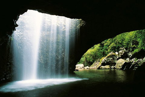 Natural Bridge & Springbrook Waterfalls Tour - Accommodation Sunshine Coast 0