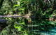 Daintree And Cape Tribulation Full Day Guided Tour - thumb 1