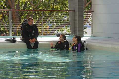 Quicksilver Dive 4 Day PADI Learn To Dive Course - Accommodation Sunshine Coast 3