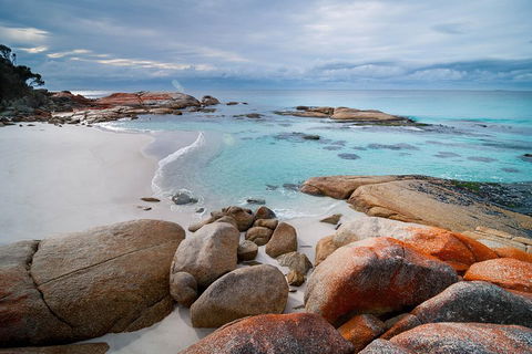 Wineglass Bay Private Charter Service - Accommodation Sunshine Coast 0
