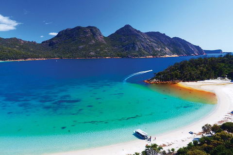 Wineglass Bay Private Charter Service - Accommodation Sunshine Coast 1
