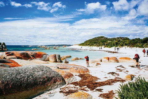 Wineglass Bay Private Charter Service - Accommodation Sunshine Coast 3