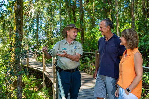 Kuranda Scenic Railway Day Trip From Cairns - Accommodation Sunshine Coast 1