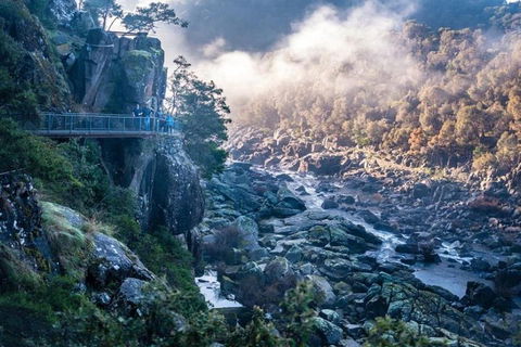 3.5 Hours Walking Tour To Cataract Gorge With Local Guide - Accommodation Sunshine Coast 1