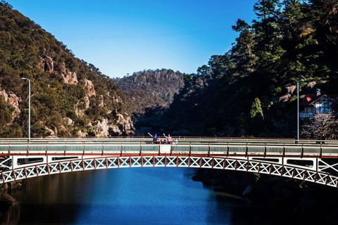 3.5 Hours Walking Tour To Cataract Gorge With Local Guide - Accommodation Sunshine Coast 4