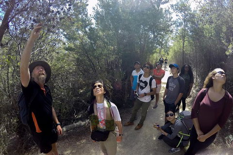 Active Day Tour One-Way From Launceston To Hobart Via Wineglass Bay - Accommodation Sunshine Coast 0