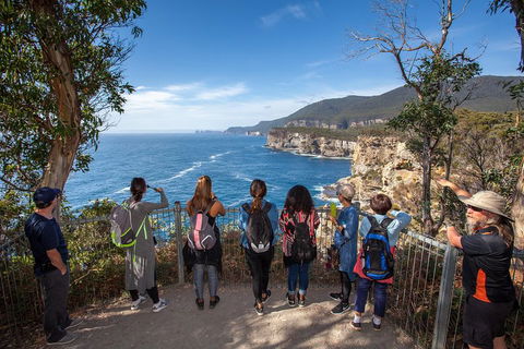 Port Arthur And Tassie Devils Active Day Tour From Hobart - Accommodation Sunshine Coast 0