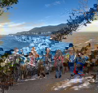 Historic Port Arthur Day Trip from Hobart Including Cliff-Top Walk to Waterfall Bay - Accommodation Sunshine Coast