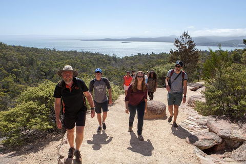 3-Day Tasmania Combo: Launceston To Hobart Active Tour Including Cradle Mountain, Freycinet National Park And Port Arthur - Accommodation Sunshine Coast 5