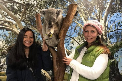 The Ultimate Sydney Attractions Pass - Accommodation Sunshine Coast 1