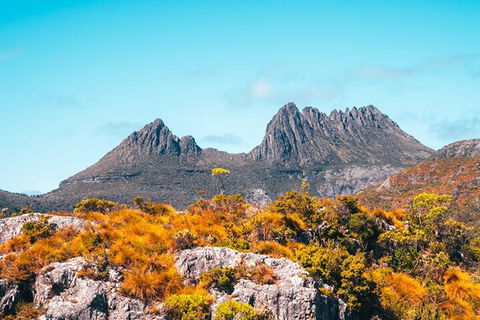 Cradle Mountain National Park Day Tour From Launceston - Accommodation Sunshine Coast 1
