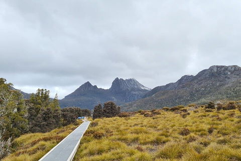 Cradle Mountain National Park Day Tour From Launceston - Accommodation Sunshine Coast 2