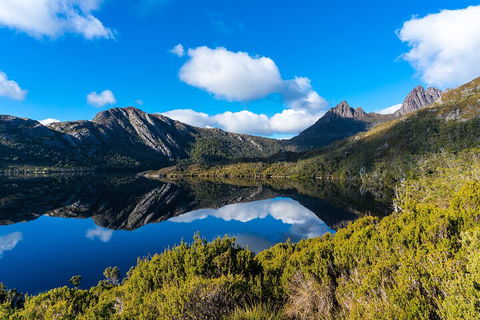 Cradle Mountain National Park Day Tour From Launceston - Accommodation Sunshine Coast 3