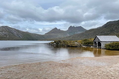 Cradle Mountain National Park Day Tour From Launceston - Accommodation Sunshine Coast 4