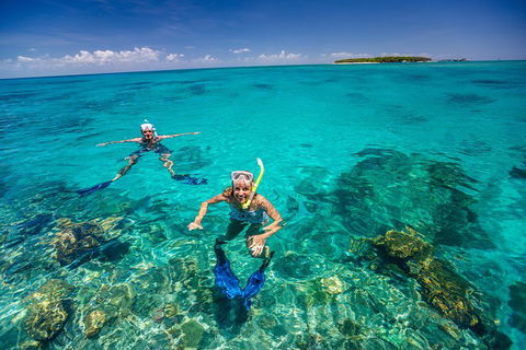 Green Island Discovery Including Glass Bottom Boat Tour Departing Cairns - Accommodation Sunshine Coast 2
