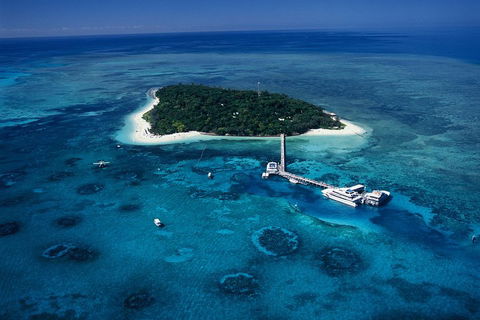 Green Island Discovery Including Glass Bottom Boat Tour Departing Cairns - Accommodation Sunshine Coast 3