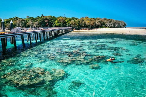 Green Island Discovery Including Glass Bottom Boat Tour Departing Cairns - Accommodation Sunshine Coast 4
