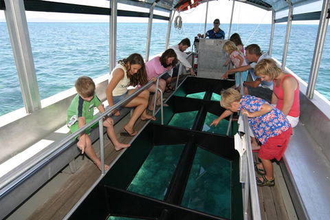 Green Island Discovery Including Glass Bottom Boat Tour Departing Cairns - Accommodation Sunshine Coast 5