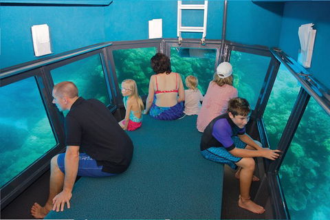 Great Barrier Reef Adventure From Cairns - Accommodation Sunshine Coast 1