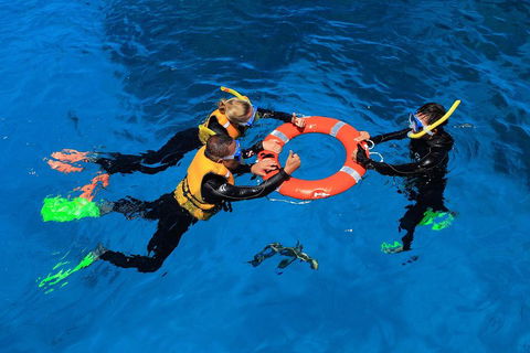 Great Barrier Reef Adventure From Cairns - Accommodation Sunshine Coast 3