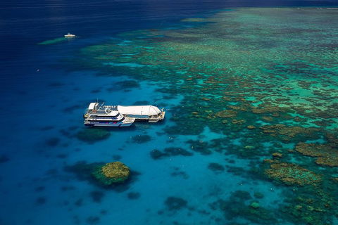 Great Barrier Reef Adventure From Cairns - Accommodation Sunshine Coast 4