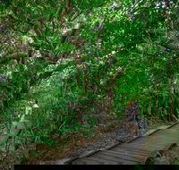 Green Island Eco Adventure from Cairns - Accommodation Sunshine Coast