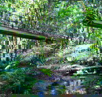Double Pack-Ancient Rainforest and Waterfalls - Accommodation Sunshine Coast
