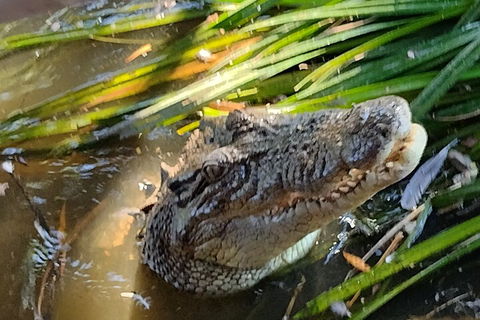 Litchfield Park Adventures And Jumping Crocodile Cruise + Butterfly Farm - Accommodation Sunshine Coast 4